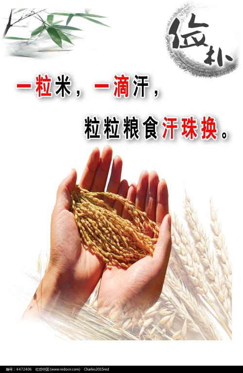 温格拉斯湾办理假文凭